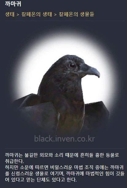 붉은사막) 펄어비스 게임에서 까마귀 관련된것들이 좋은 이유.JPG_7.webp