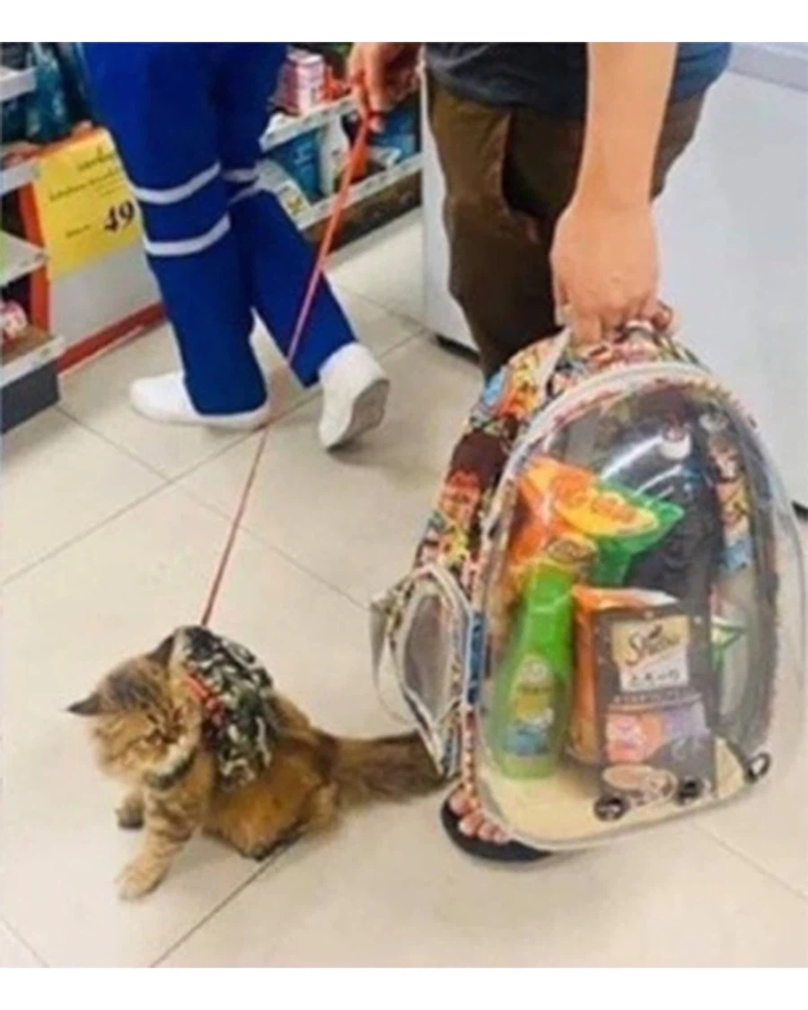 비닐 봉투 금지한 태국_3.webp