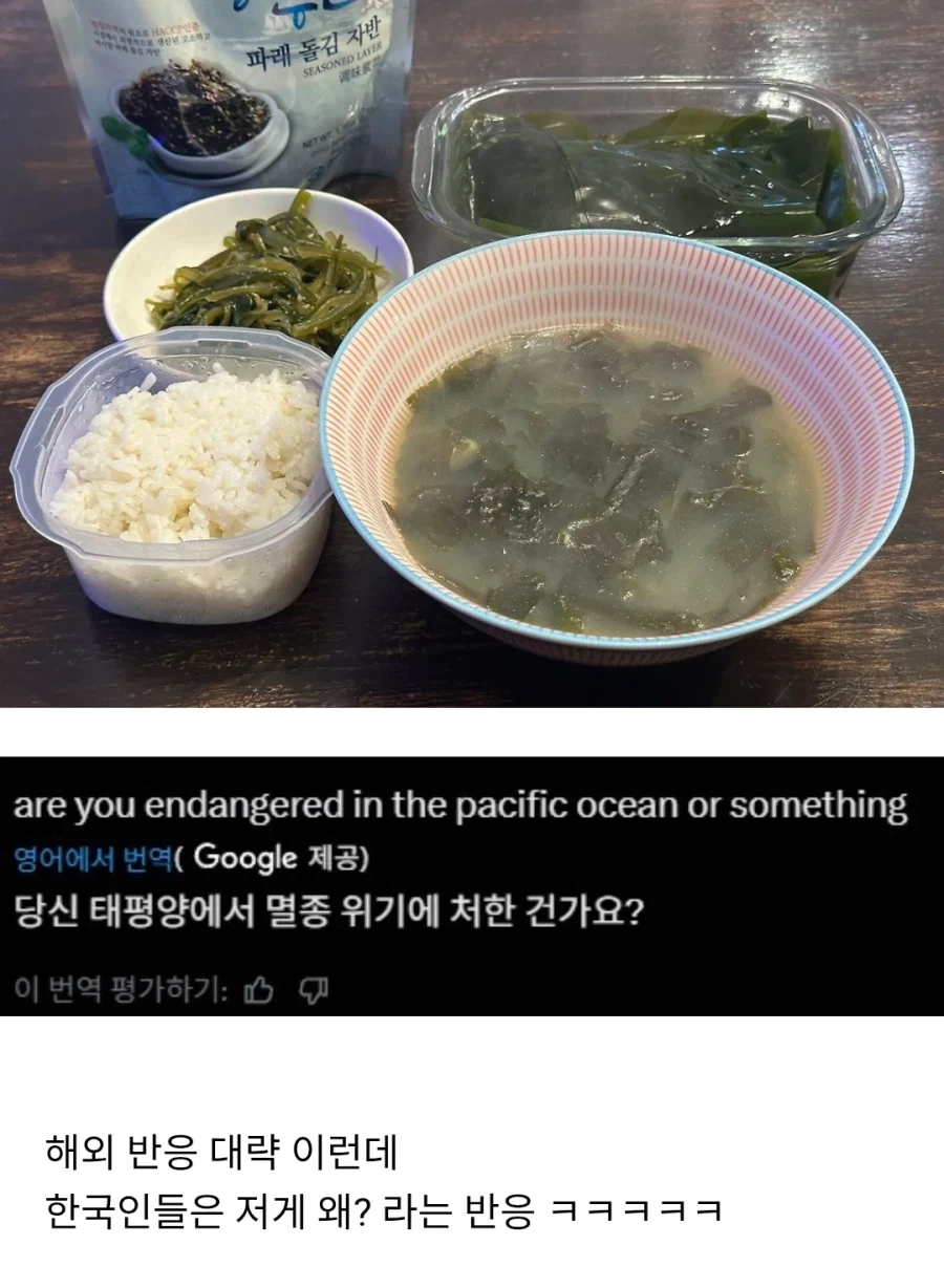 미국인들은 죽어도 이해못하는 짤_1.webp
