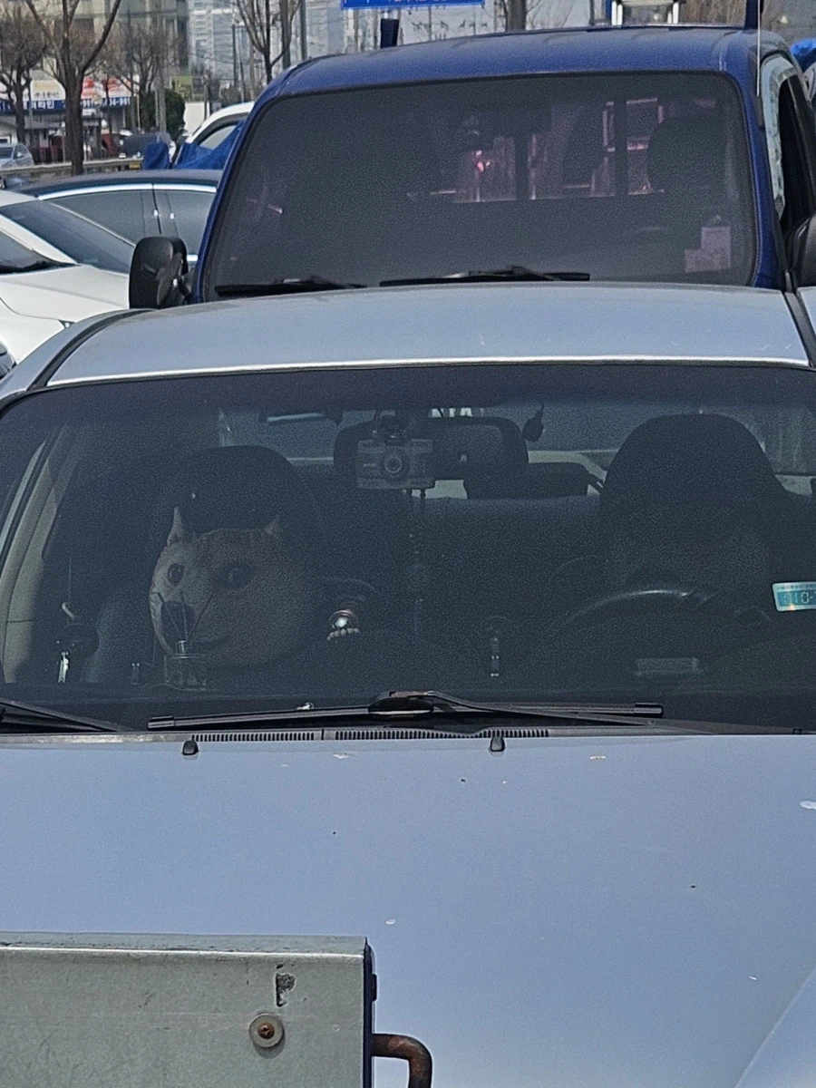 어우씨 깜짝이야_1.webp