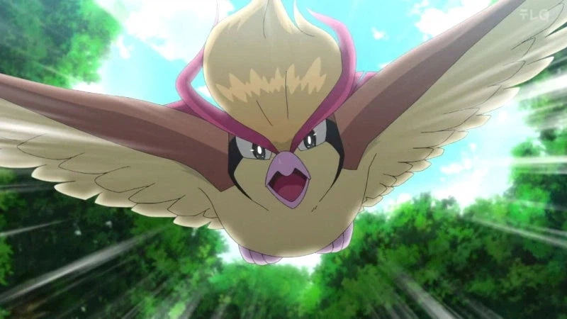 포켓몬 애니에서 gs 볼 때문에 생긴 나비효과_2.webp