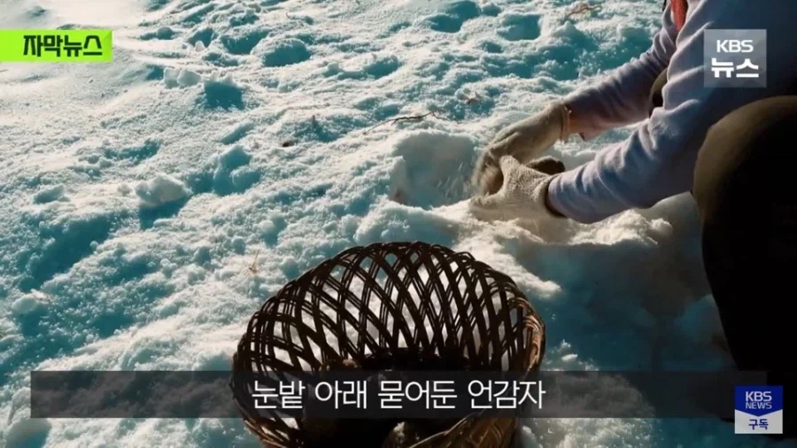 인민들이 행복하게 산다고 스스로 공개했던 북한의 모습_5.webp