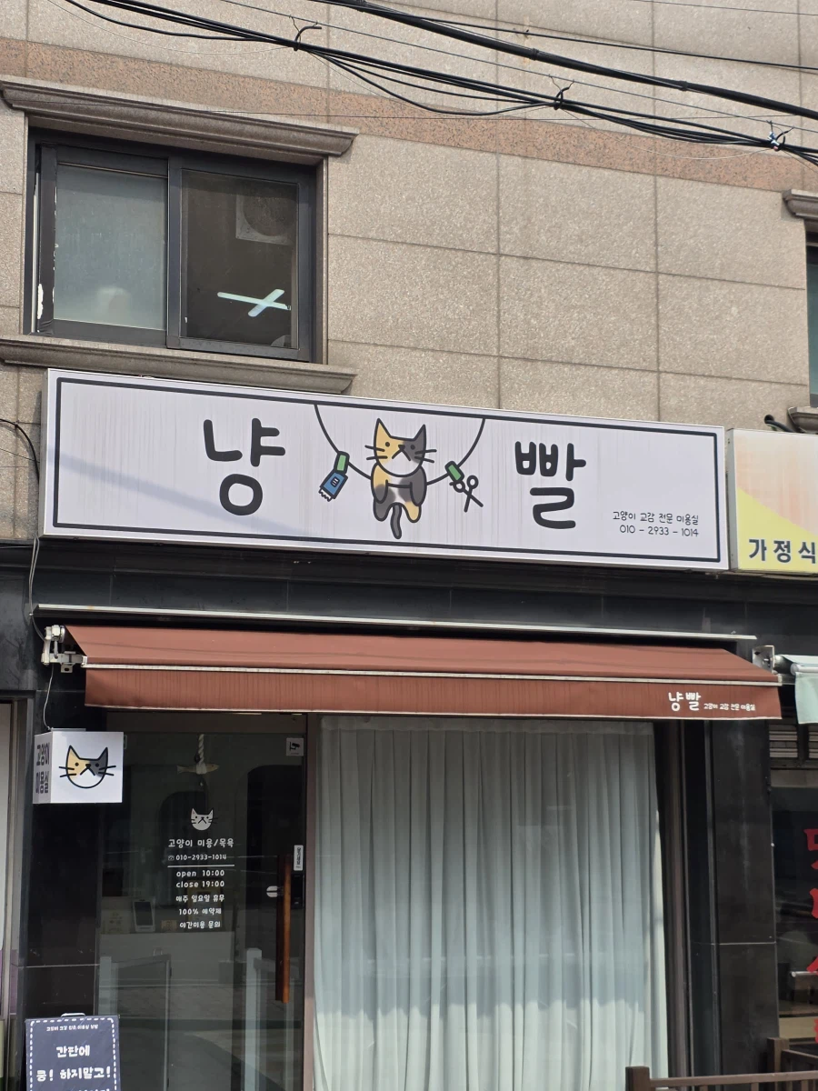 고양이 전문 미용실 이름 너무웃긴데_1.webp