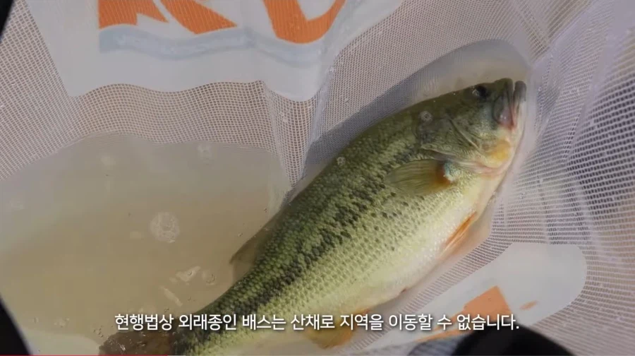 의외로 베스 낚시꾼이 하면 안되는 행위_2.webp