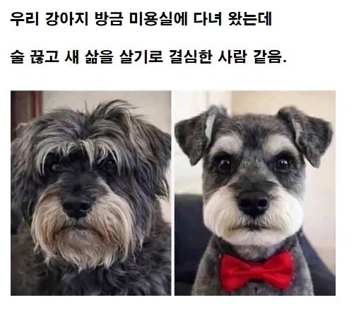 미용실의 힘_1.webp