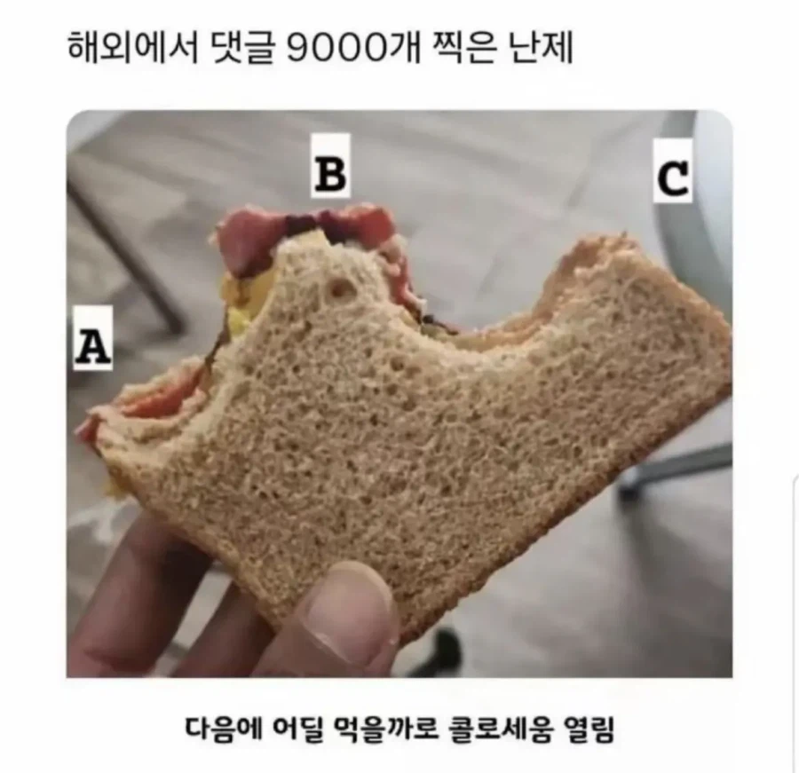 해외에서 댓글 900개 찍힌 난제_1.webp