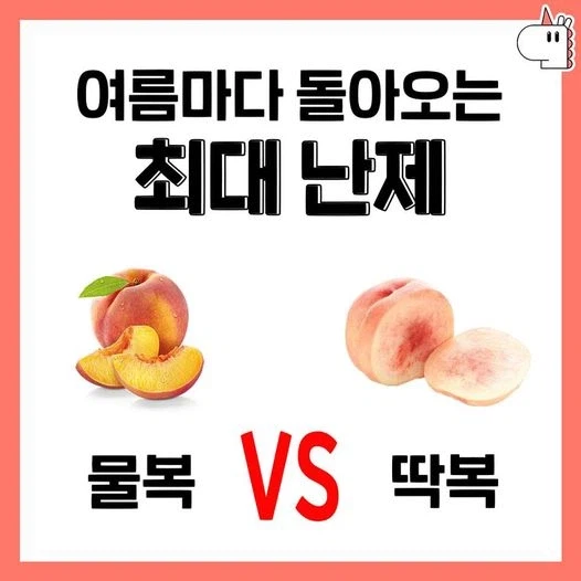 물복 vs 딱복_1.webp
