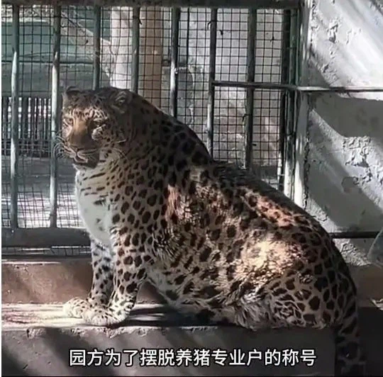 민영화한 동물원의 최후_1.webp