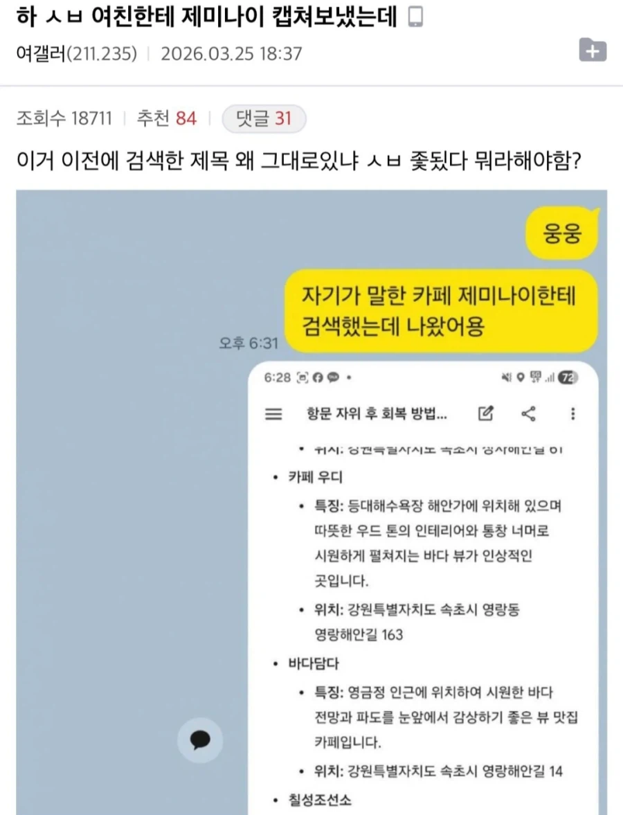 제미나이썼다가 여친 놀라게만든 dc인_1.webp