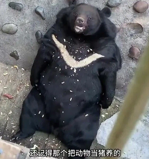 충격적이게 이게 겨우 3년전임_1.webp