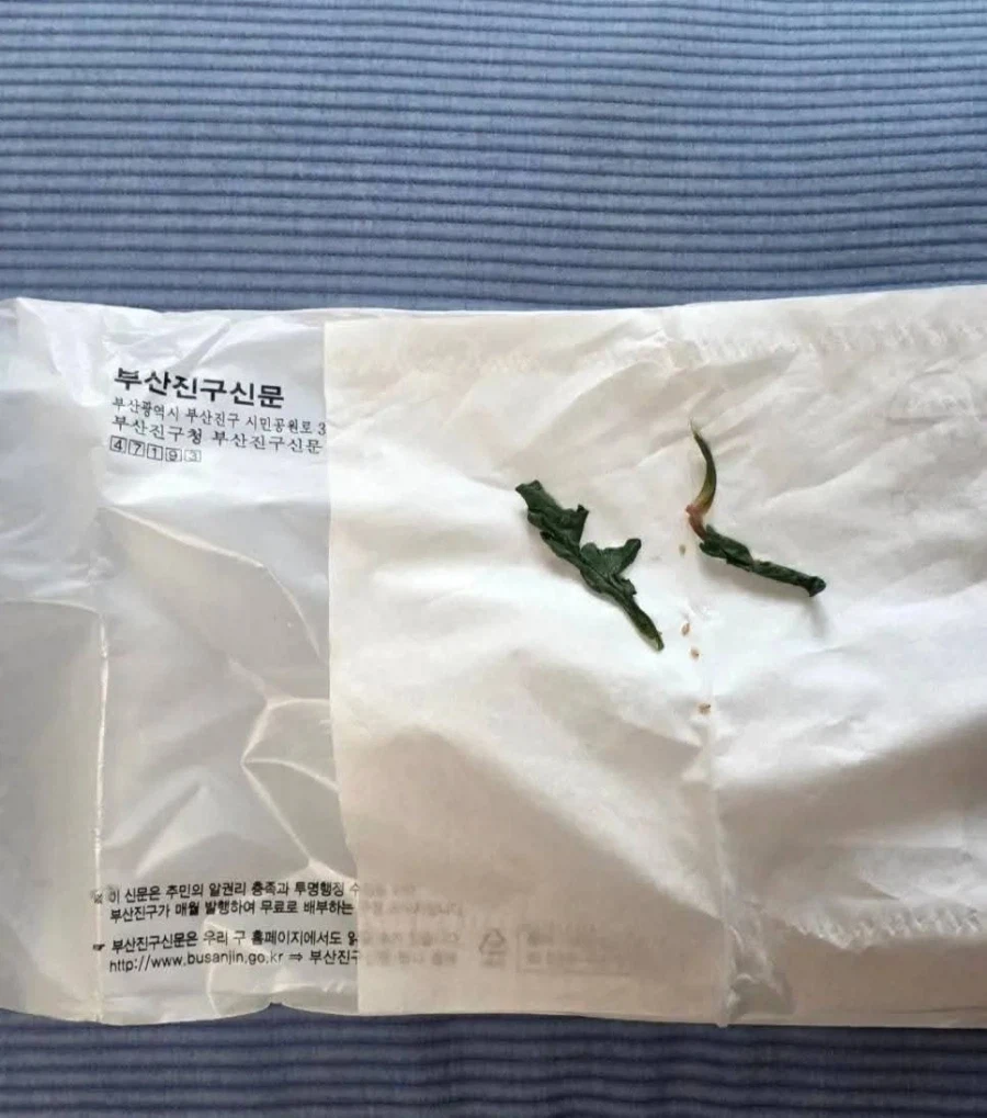 성관계 도중에 남친 똥구멍 시금치 뽑아줌.jpg_3.webp