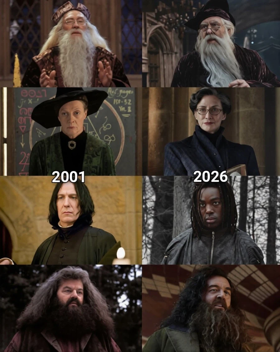 왜 굳이 스네이프를 흑인으로 캐스팅 했을까_1.webp