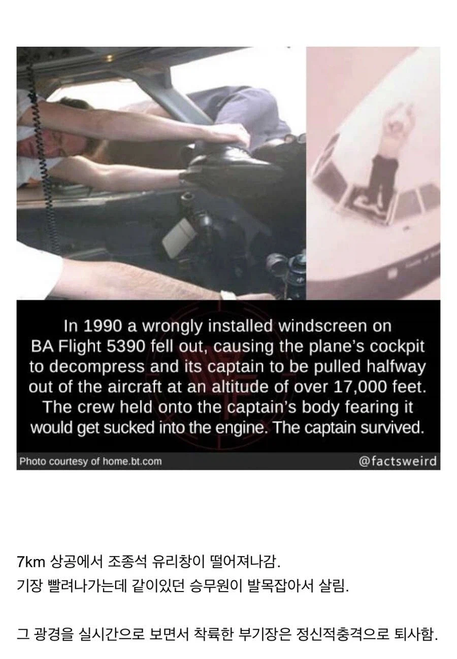 비행기 사고 중 특이한 사례_1.webp