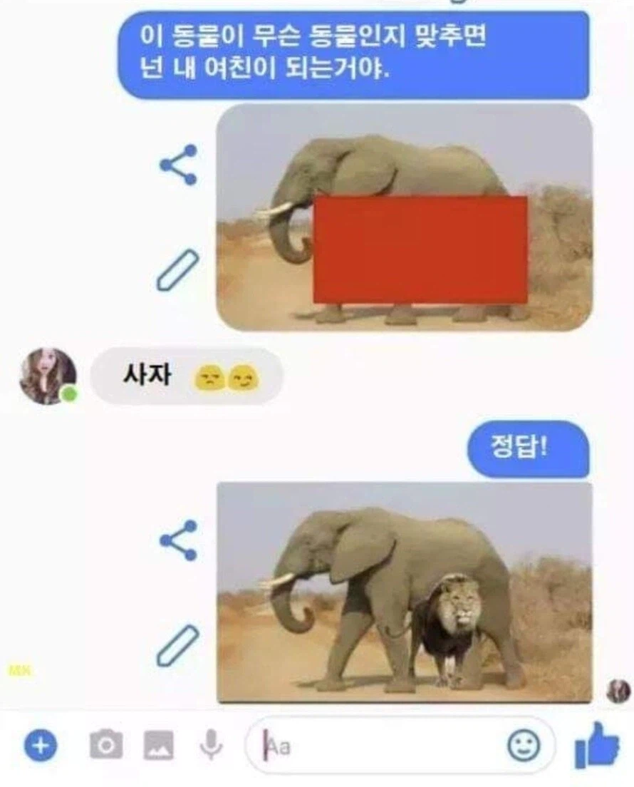 이 동물이 뭔지 맞추면 넌 내 여친이 되는거야.jpg_1.webp