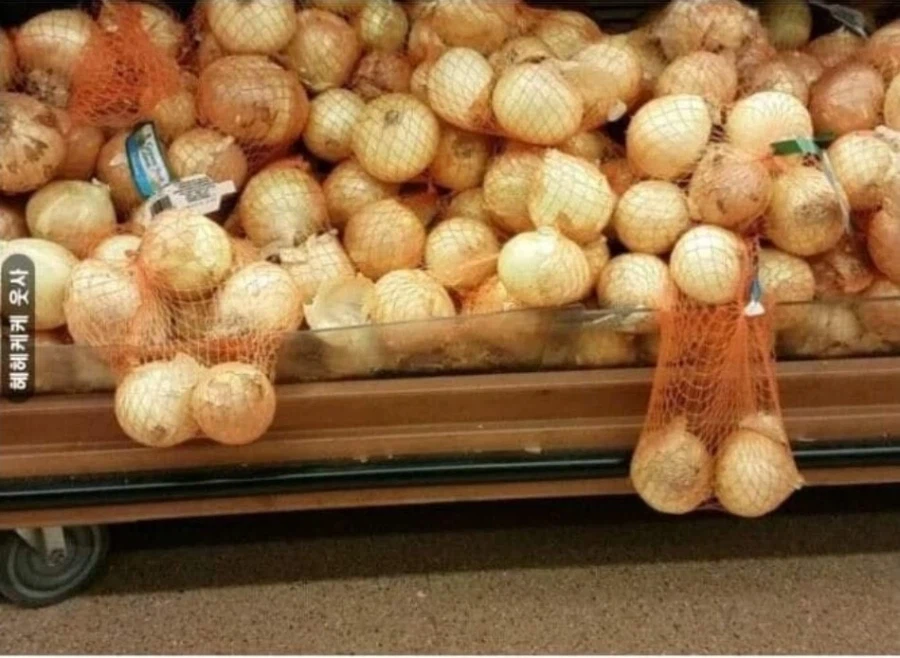 샤워 찬 물 vs 따뜻한 물_1.webp