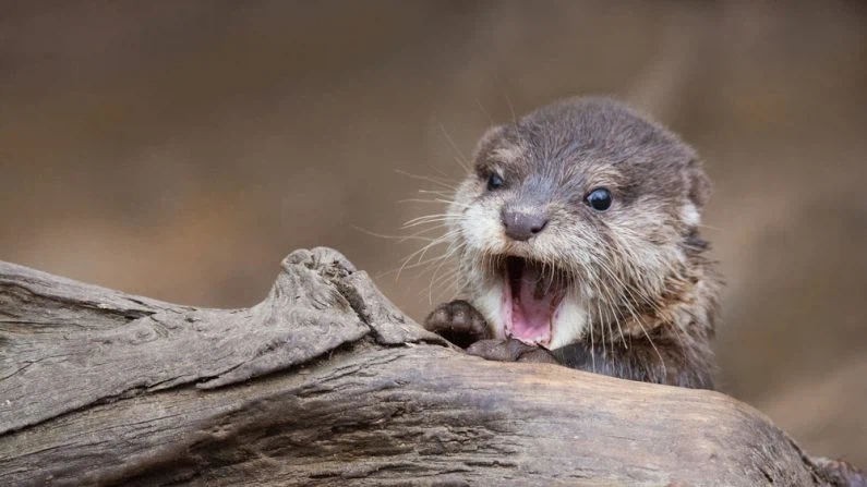 공포겜 공포영화 특_1.webp