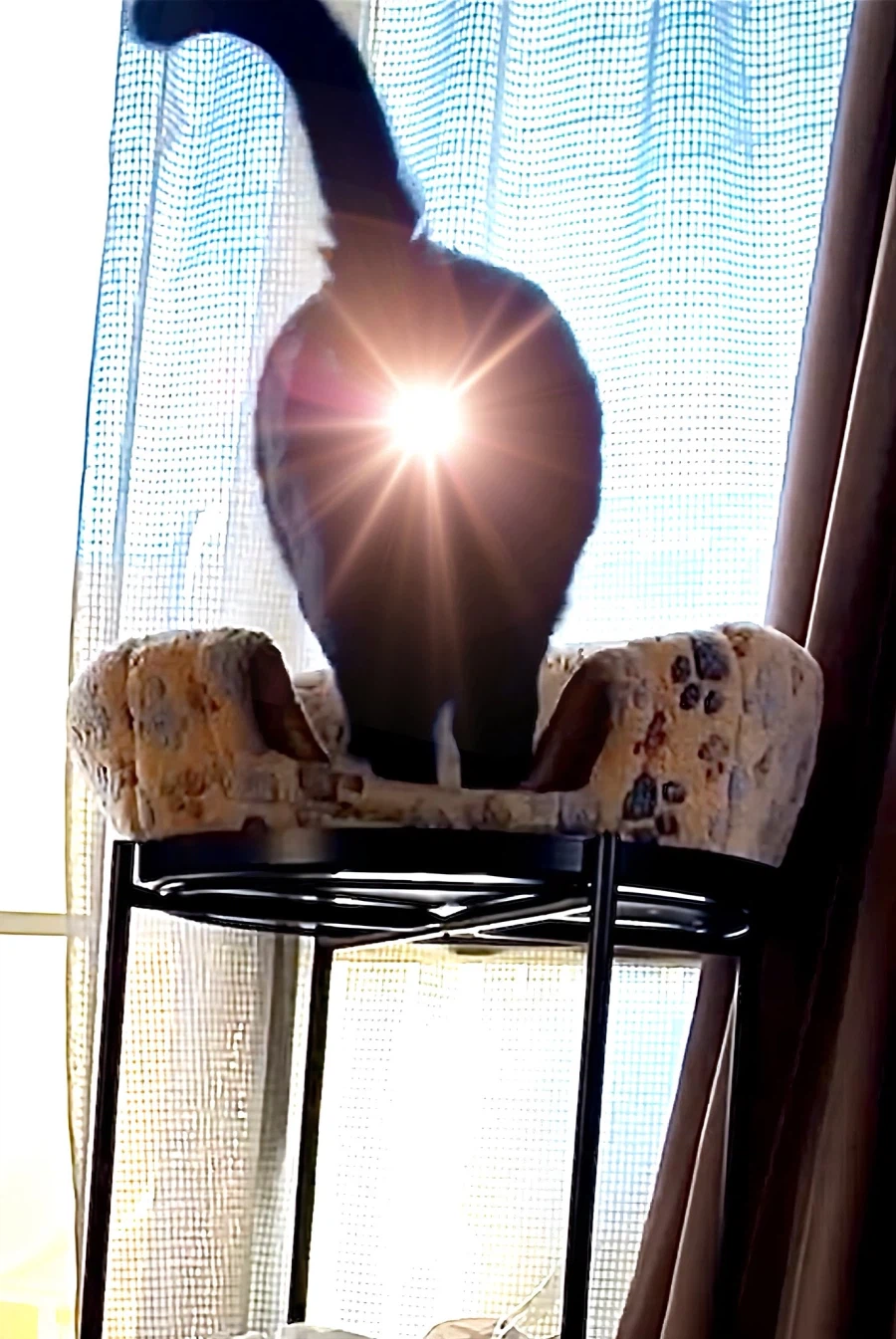 티파: 당신에게... 힘을....!_1.webp