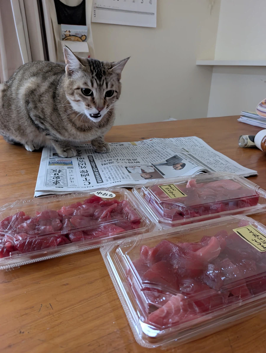 그림의 떡.jpg_1.webp