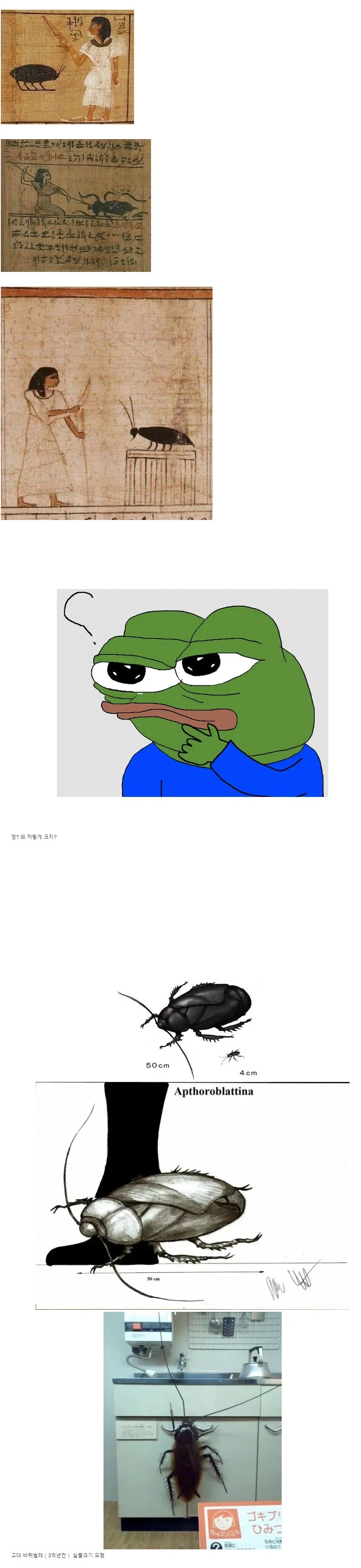 이집트 벽화에 그려진 바퀴벌레_1.webp