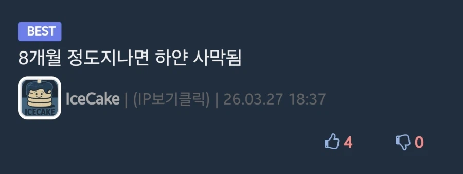 갑자기 붉은 사막이 재미없다는 디씨인_2.webp