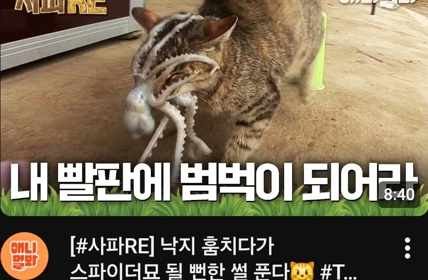 크라켄이 백호보다 더 강하다는 증거_1.webp