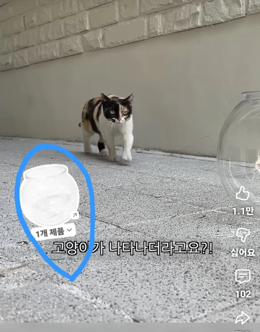 유튜브 프리미엄 쓰고도 ㅈ같은것_3.webp