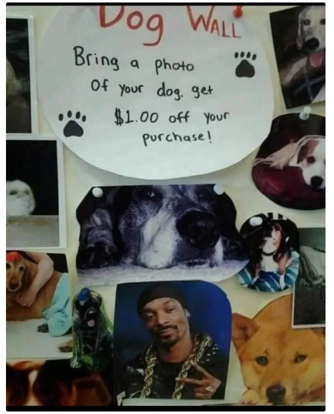 개 사진을 가져오면 할인해 드립니다.png_1.webp