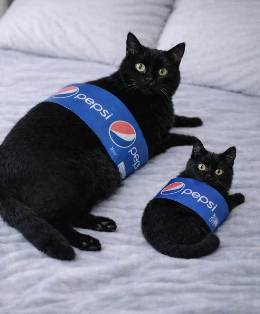 펩시 냥이_1.webp