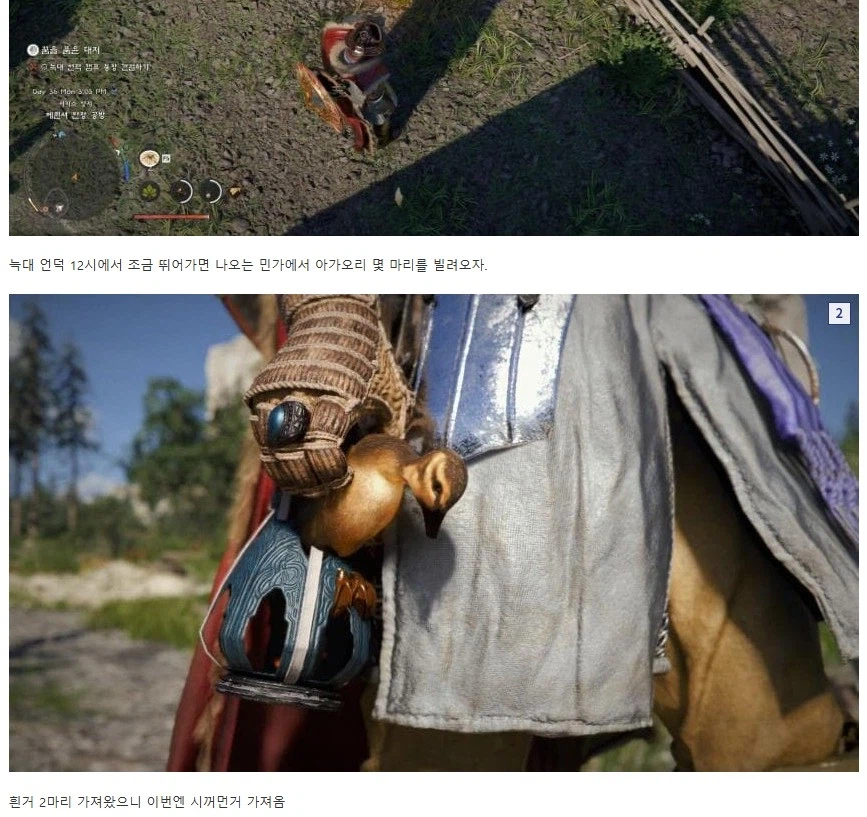 붉은 사막) 새끼 오리도 키움 ㅋㅋㅋㅋㅋ_1.webp