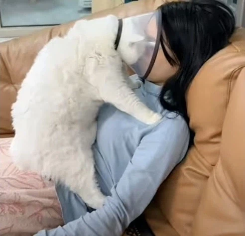 내 가장 소중한 장기를 없애놓고... 날 위해서였다고?_1.webp