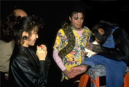 80년대 마츠다 세이코 와 폴 매카트니 , 마이클 잭슨_3.webp