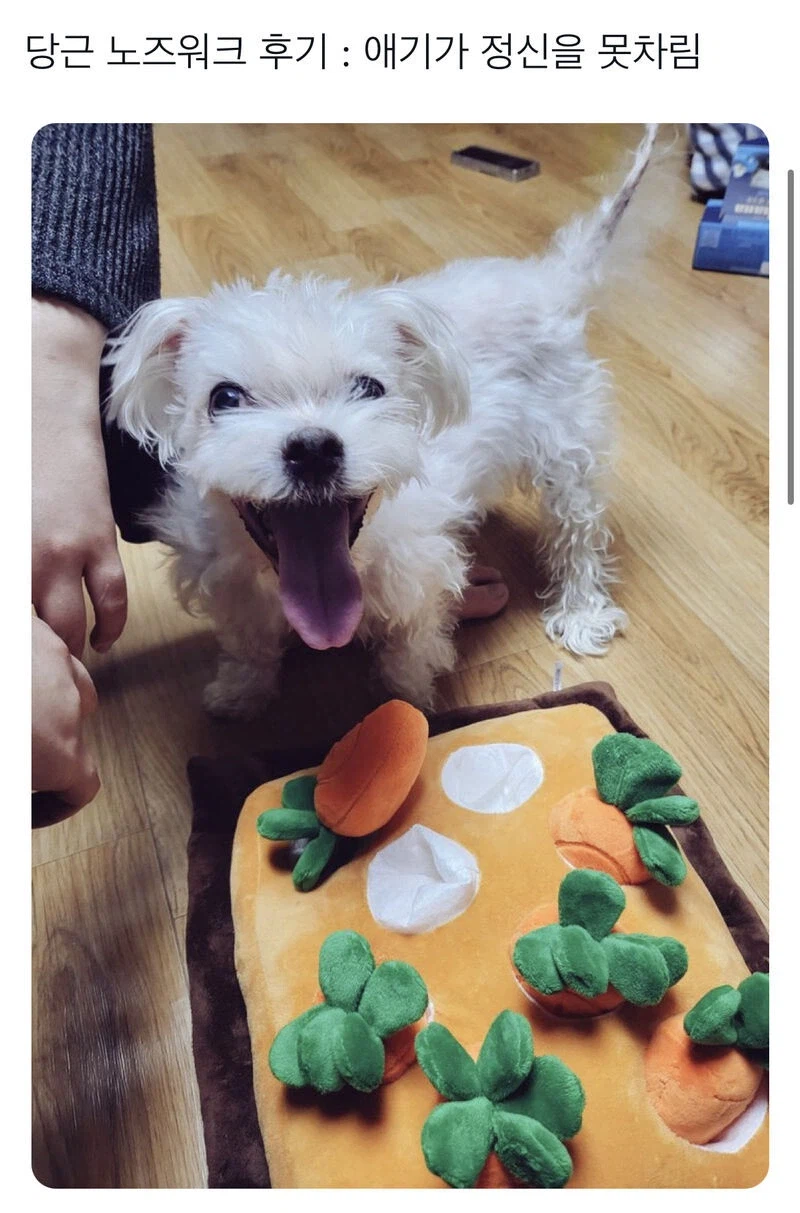 싸이랑 사진찍은 에드시런.jpg_2.webp