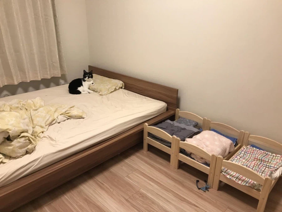 이케아 고양이 침대 후기.jpg_1.webp