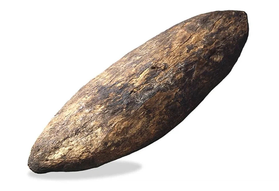 괴담 같은 대영박물관 유물_1.webp