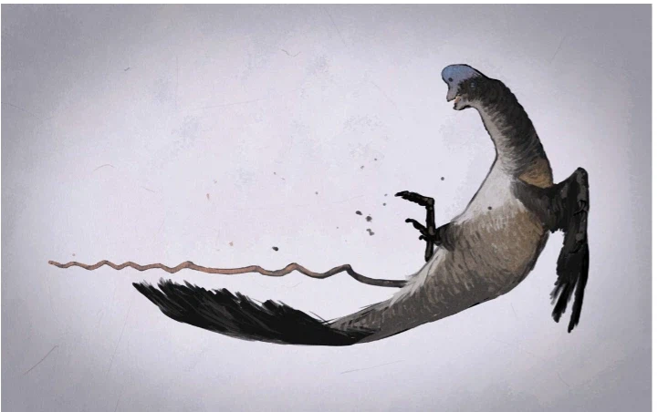 어느 고생물학 책의 진짜 내용들_2.webp