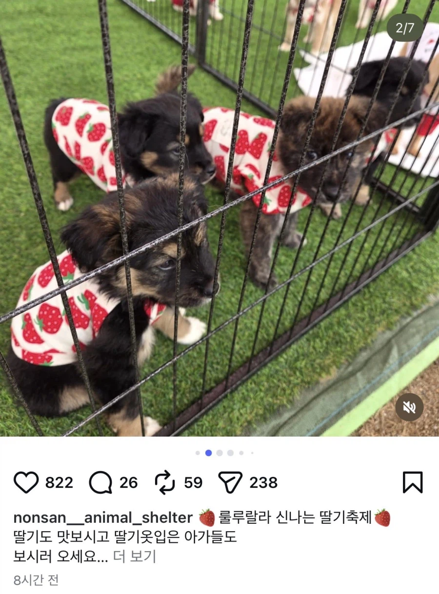 [충격] 논산 딸기 축제 때문에 강제로 끌려온 미성년자들_2.webp