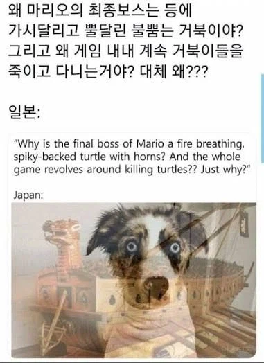 유전자에 각인된 공포_1.webp