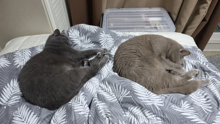 당신은 다리를 펼 수 없습니다_1.webp