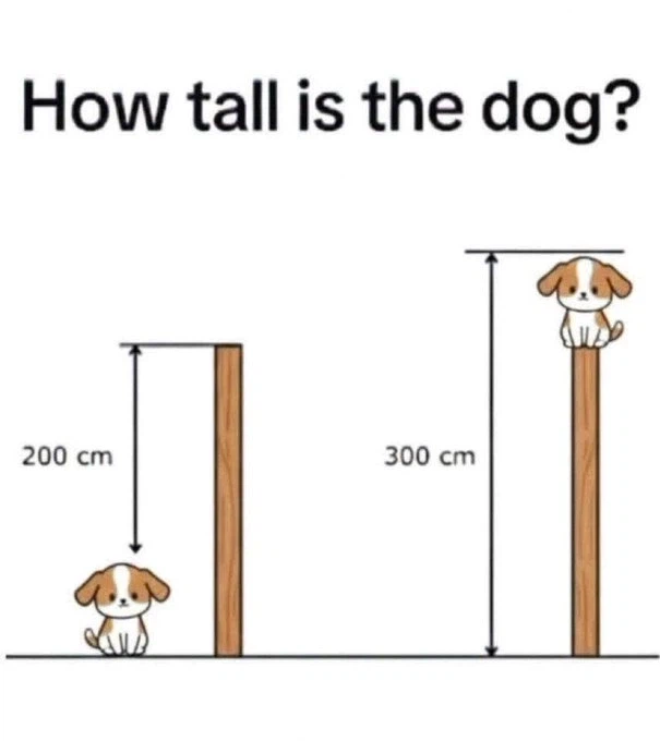 할배들 치매예방 하고가세요_1.webp