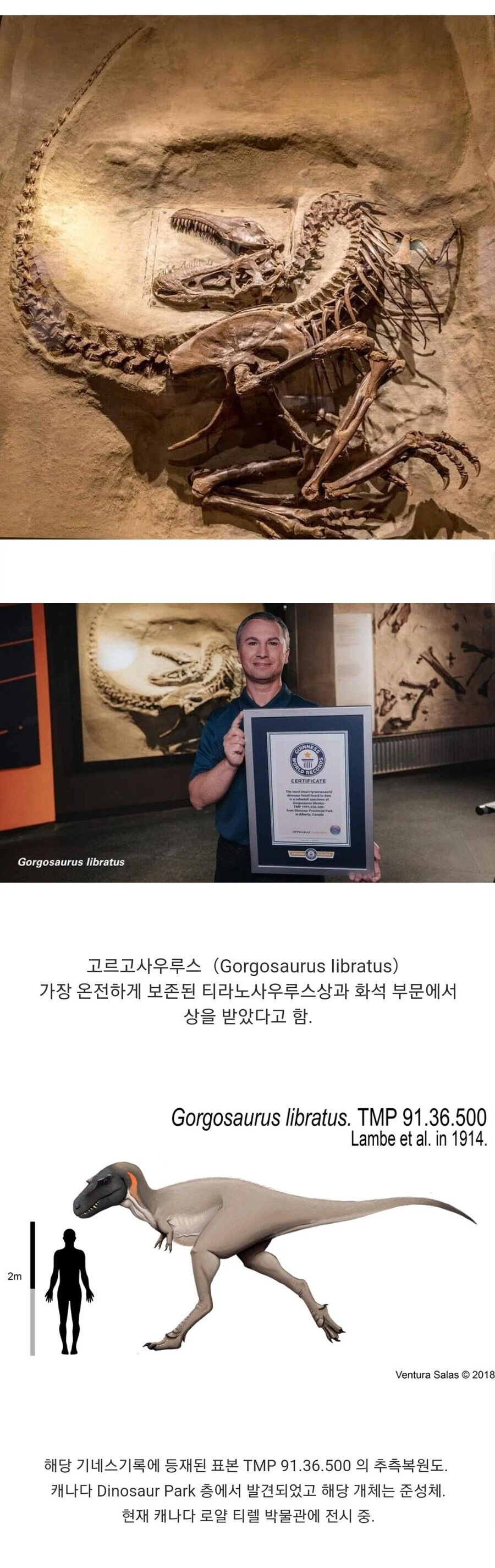 기네스에 등재된 가장 완벽한 공룡 뼈화석_1.webp