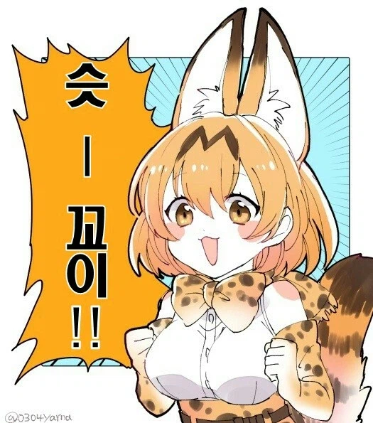 포코피아) 우리가 힐링을 받는 이유_5.webp