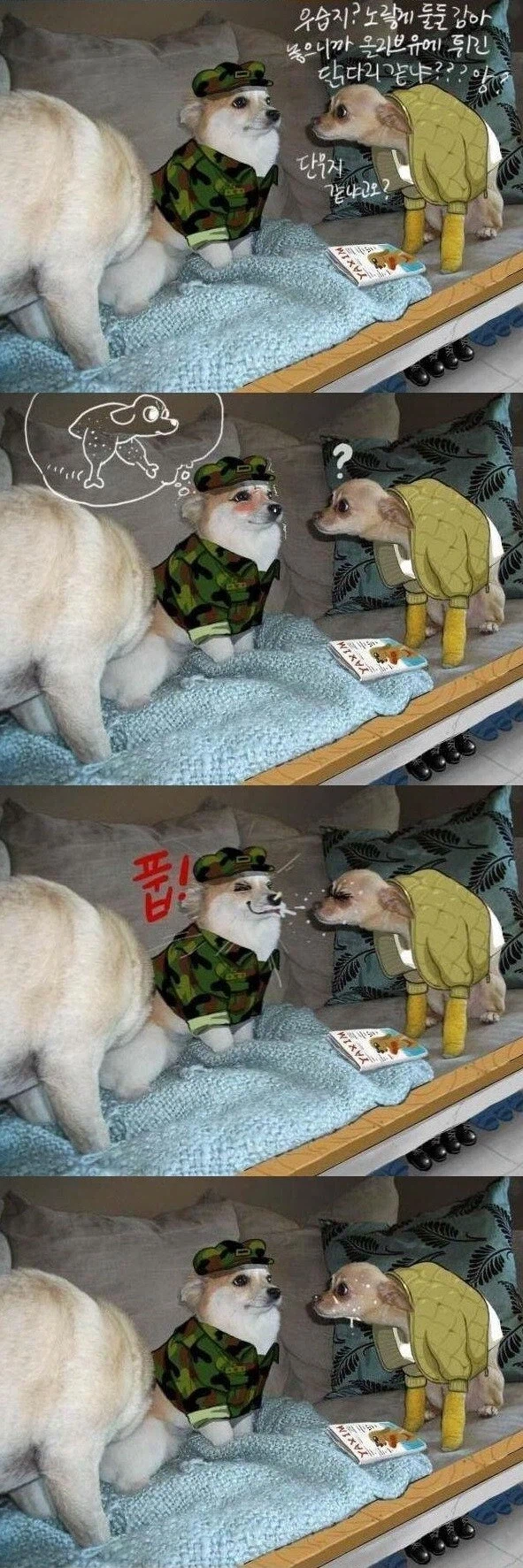 군생활 개같네_1.webp