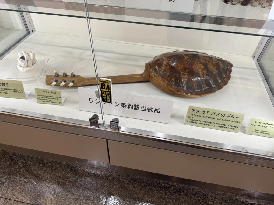 의외로 기타가 될 수 있는 것.jpg_1.webp