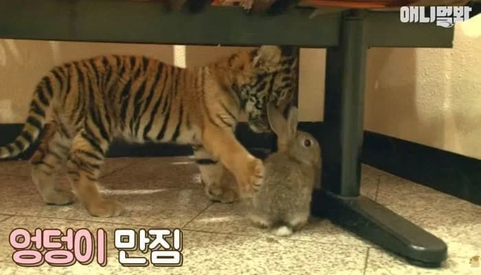 허락 없이 이성 엉덩이 만지던 순간 카메라 포착_1.webp