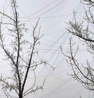 현대전 환경에 환경오염의 모습_3.webp