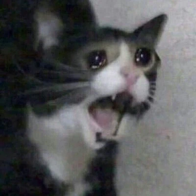 이제 슬 여자친구랑 결혼 준비 해야하는데_1.webp