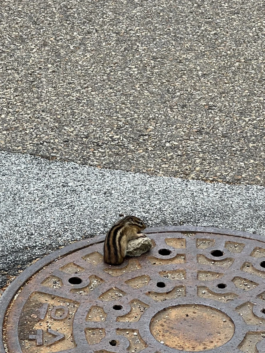 다람쥐: 그분께서 암흑속에 떨어질 뻔한 나를 구원하셨다_3.webp