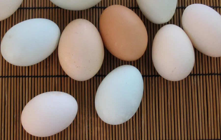 의외로 실온 유통이 되는 식품.jpg_1.webp