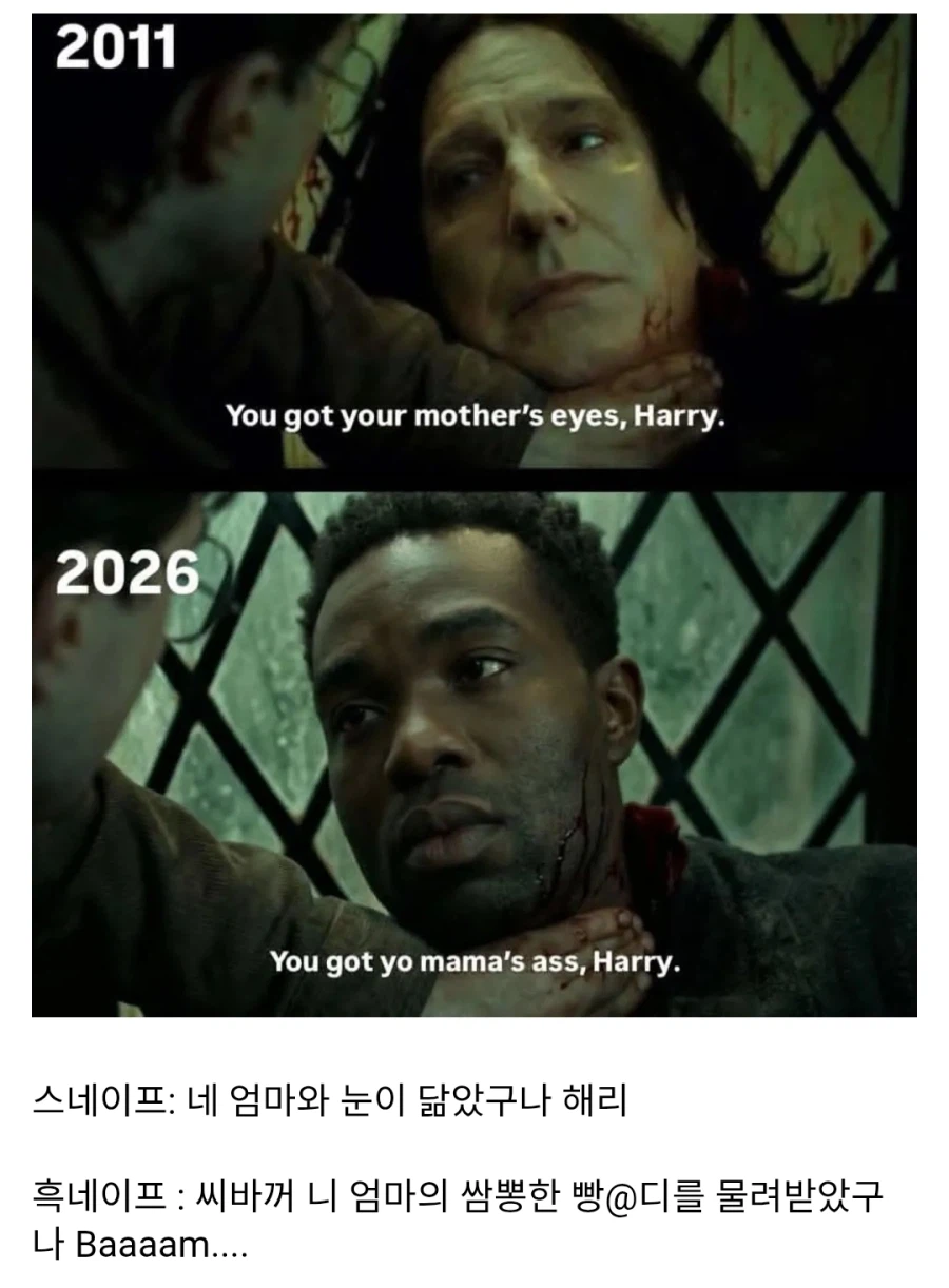 스네이프가 흑인이 되면 생기는 문제.JPG_1.webp