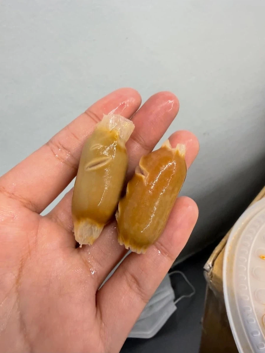 소세지 절대 쉰게 아니라고 우기는 사장_3.webp